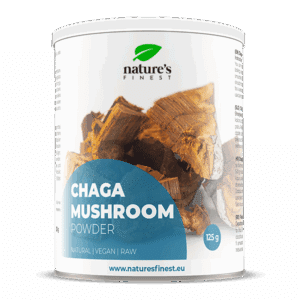 Chaga paddestoel poeder