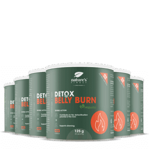Detox Belly Burn 6x pakket