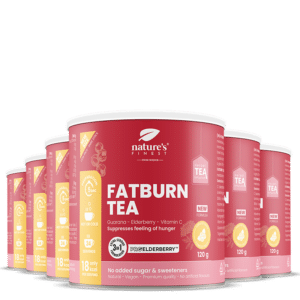 FatBurn Tea 6x pakket
