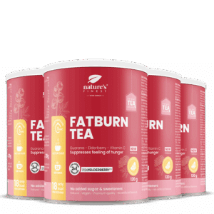 FatBurn Tea 4x pakket
