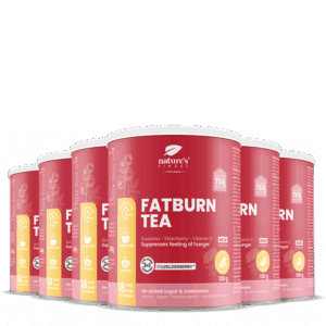 FatBurn Tea 6x pakket