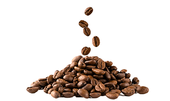 Oploskoffie (Coffea arabica L.)