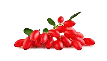 Rebersa® (berberine-extract)