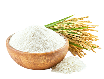 Rijstmeel (Oryza sativa)