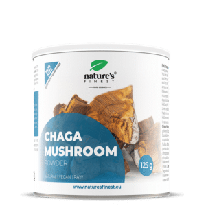 Chaga paddestoel poeder